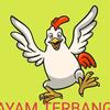 UD AYAM TERBANG