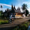 taniaw979