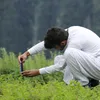 sabirswati101