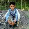 fazalmalik3463