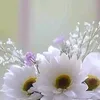 maria_dalvap