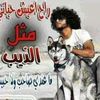 dyxb6068eygv