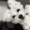 kalinka.malina