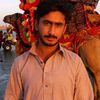 usman799853231