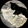 catmoney900