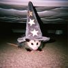 sidewalk_possum