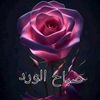momamedmostafa1