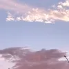 cxarlimilx_