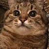 nitsuj_glrn