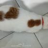 yustiennurratna