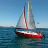 alexandreferre802