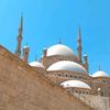.mohammedvabdelghafar1