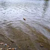 aleksey_8319