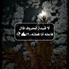 omar561_