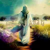 zy7tl