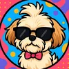 mila.shihtzu