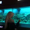 marsya_osem