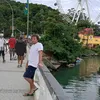 jonasj23
