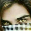 user9106013024740