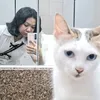 dalydiary_
