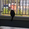 janethara_10