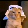 conetall_37