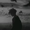 vanzzlonely0