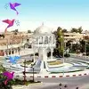 ahmedsouid486