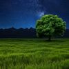 fahrudin_860