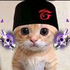 alfauzi893