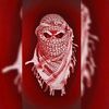 _mohamett50