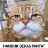 inafuck0