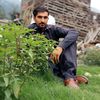 mufeedalam13