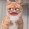 rezaaaaahmad_