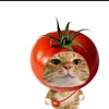 khanhcris27