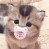 elly.setyo