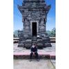 dion_ap01