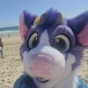 ermine_zee