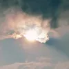 yellowbit