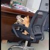 efootballtopfan