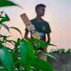 mirajhossain5353