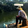 toin_11