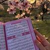 hanannawaz512