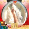 t.anh99bacninh