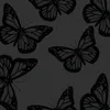 .charlotte_.x