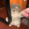 maybeim05