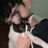 anthony_borelly