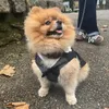 stormy_thepom