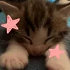 hellokittys_left_toe