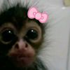 aby11_0